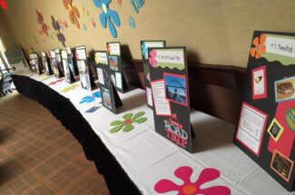 Thumbnail for the post titled: 13th Annual Auction Review